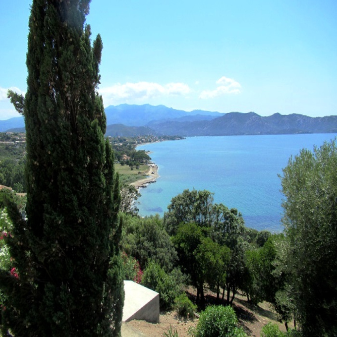 Offres de vente Appartement Patrimonio (20253)