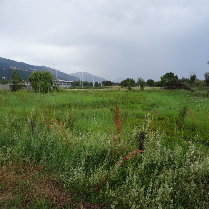 Offres de vente Terrain Lucciana (20290)